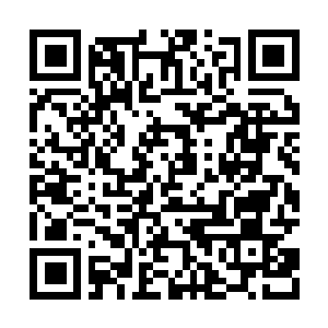 Link naar je actie QRCode - Fondswerving