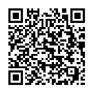 Link naar je actie QRCode - Fondswerving