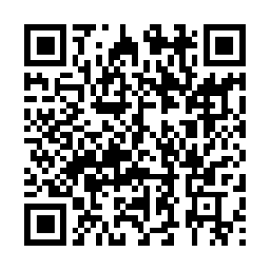 Link naar je actie QRCode - Fondswerving