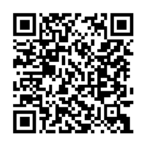 Link naar je actie QRCode - Fondswerving