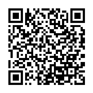 Link naar je actie QRCode - Fondswerving
