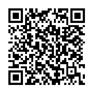 Link naar je actie QRCode - Fondswerving