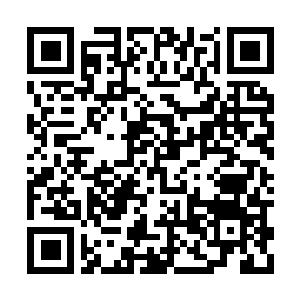 Link naar je actie QRCode - Fondswerving