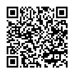 Link naar je actie QRCode - Fondswerving