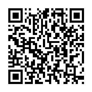 Link naar je actie QRCode - Fondswerving