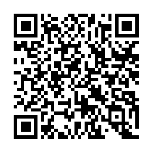 Link naar je actie QRCode - Fondswerving