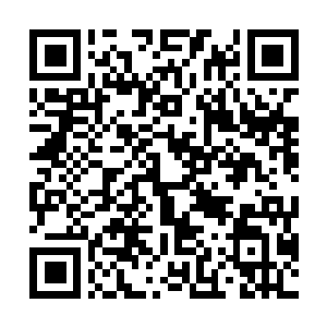 Link naar je actie QRCode - Fondswerving