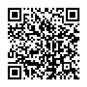 Link naar je actie QRCode - Fondswerving