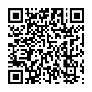 Link naar je actie QRCode - Fondswerving