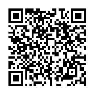 Link naar je actie QRCode - Fondswerving