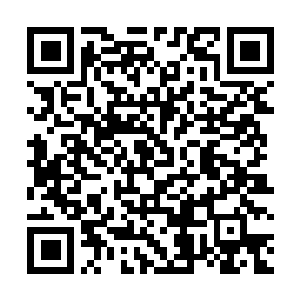 Link naar je actie QRCode - Fondswerving