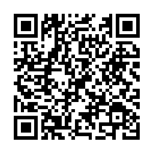 Link naar je actie QRCode - Fondswerving