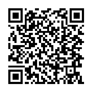 Link naar je actie QRCode - Fondswerving