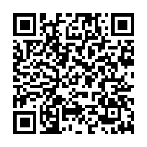 Link naar je actie QRCode - Fondswerving
