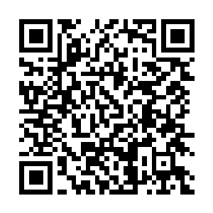 Link naar je actie QRCode - Fondswerving