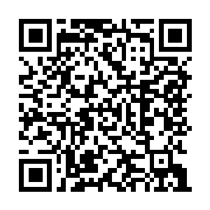 Link naar je actie QRCode - Fondswerving
