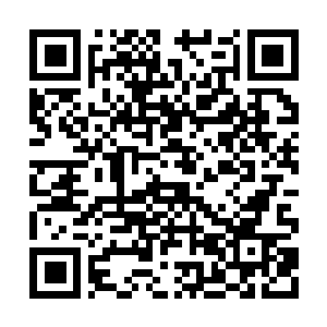 Link naar je actie QRCode - Fondswerving