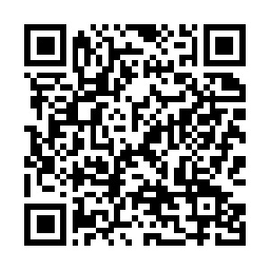Link naar je actie QRCode - Fondswerving