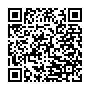 Link naar je actie QRCode - Fondswerving