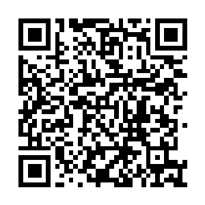 Link naar je actie QRCode - Fondswerving