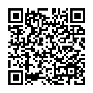 Link naar je actie QRCode - Fondswerving
