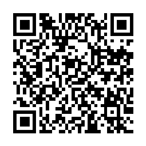 Link naar je actie QRCode - Fondswerving