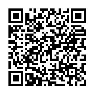 Link naar je actie QRCode - Fondswerving