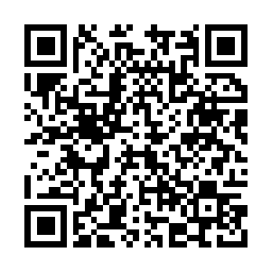 Link naar je actie QRCode - Fondswerving