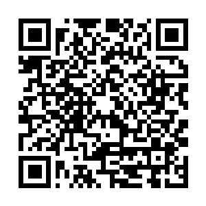 Link naar je actie QRCode - Fondswerving