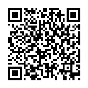 Link naar je actie QRCode - Fondswerving