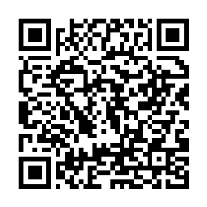 Link naar je actie QRCode - Fondswerving