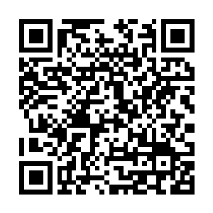Link naar je actie QRCode - Fondswerving