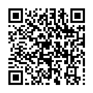 Link naar je actie QRCode - Fondswerving