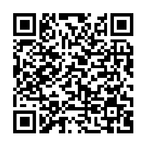 Link naar je actie QRCode - Fondswerving