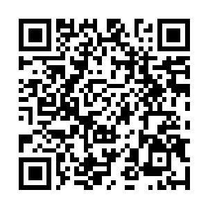 Link naar je actie QRCode - Fondswerving