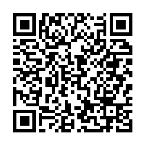 Link naar je actie QRCode - Fondswerving