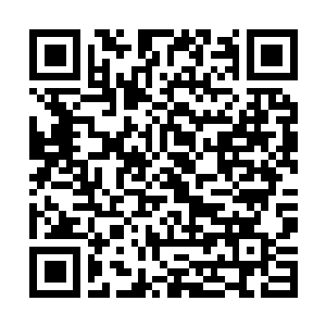Link naar je actie QRCode - Fondswerving