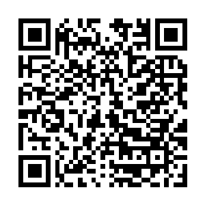 Link naar je actie QRCode - Fondswerving
