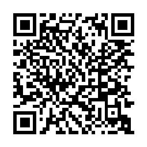 Link naar je actie QRCode - Fondswerving