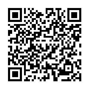 Link naar je actie QRCode - Fondswerving