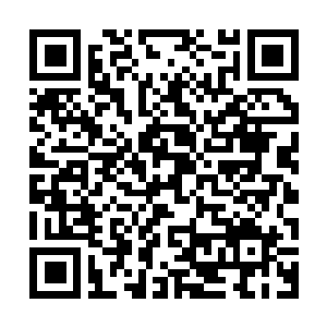 Link naar je actie QRCode - Fondswerving