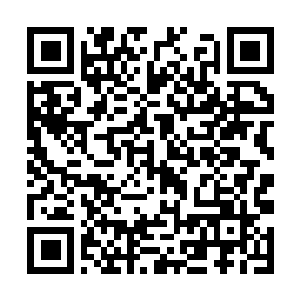 Link naar je actie QRCode - Fondswerving