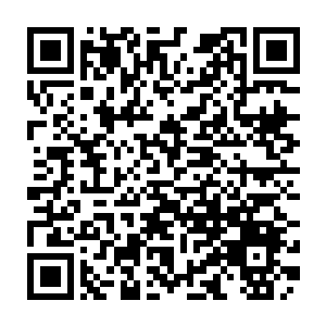 Link naar je actie QRCode - Fondswerving