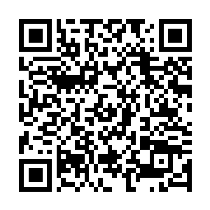 Link naar je actie QRCode - Fondswerving