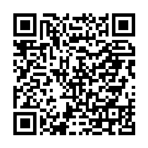 Link naar je actie QRCode - Fondswerving