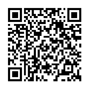 Link naar je actie QRCode - Fondswerving