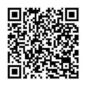 Link naar je actie QRCode - Fondswerving