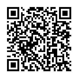 Link naar je actie QRCode - Fondswerving