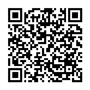 Link naar je actie QRCode - Fondswerving