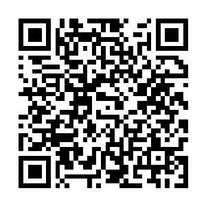 Link naar je actie QRCode - Fondswerving